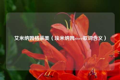 艾米纳姆格莱美（埃米纳姆river歌词含义）
