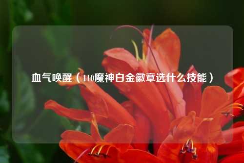 血气唤醒（110魔神白金徽章选什么技能）