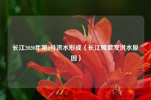 长江2020年第4号洪水形成（长江频繁发洪水原因）