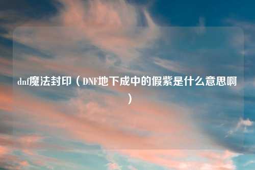 dnf魔法封印（DNF地下成中的假紫是什么意思啊）