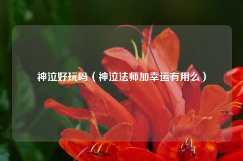 神泣好玩吗（神泣法师加幸运有用么）