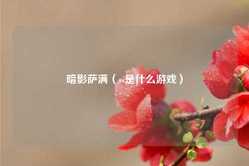 暗影萨满（ss是什么游戏）