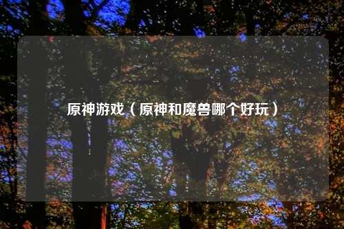 原神游戏（原神和魔兽哪个好玩）