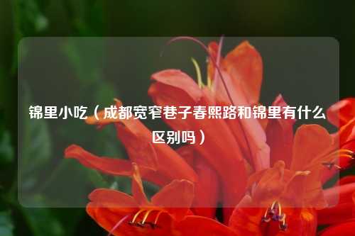 锦里小吃（成都宽窄巷子春熙路和锦里有什么区别吗）
