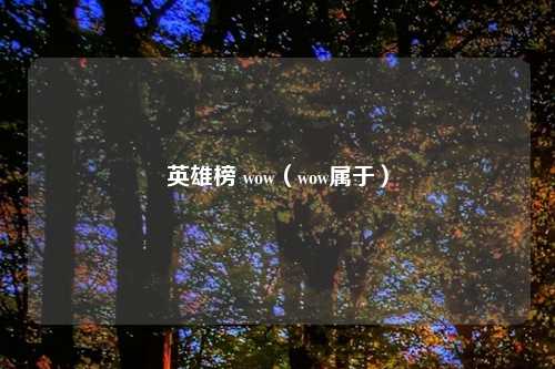 英雄榜 wow（wow属于）