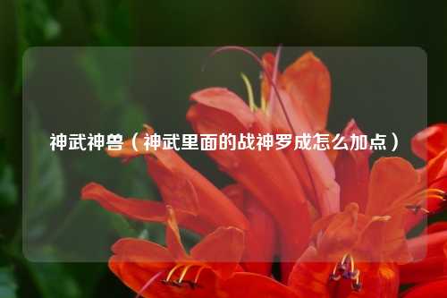 神武神兽（神武里面的战神罗成怎么加点）