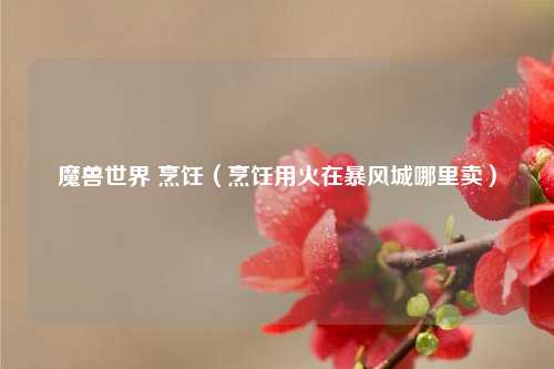魔兽世界 烹饪（烹饪用火在暴风城哪里卖）