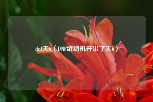 dnf天6（DNF缝纫机开出了天6）