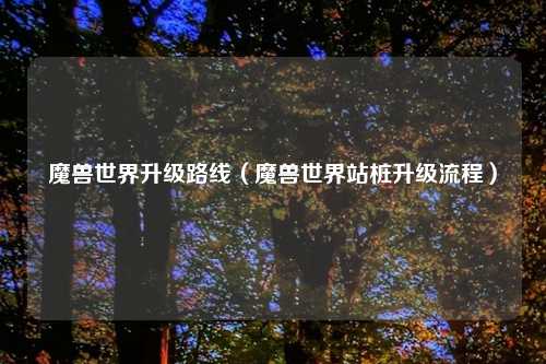 魔兽世界升级路线（魔兽世界站桩升级流程）