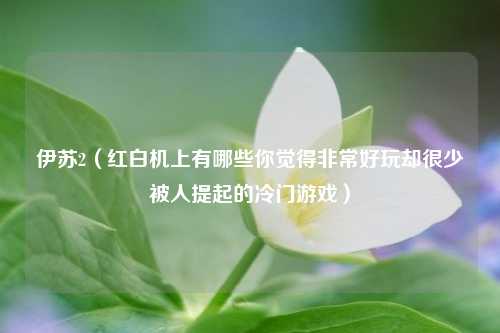 伊苏2（红白机上有哪些你觉得非常好玩却很少被人提起的冷门游戏）