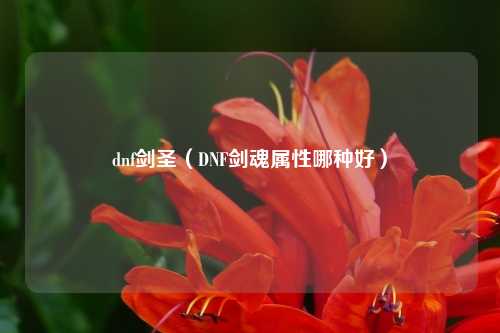 dnf剑圣（DNF剑魂属性哪种好）