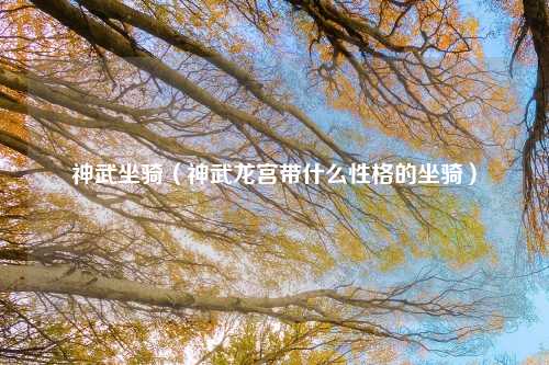 神武坐骑（神武龙宫带什么性格的坐骑）