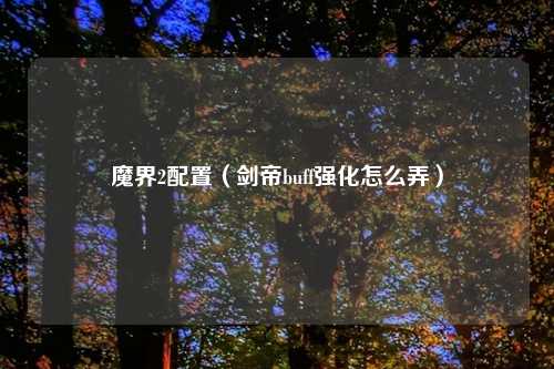 魔界2配置（剑帝buff强化怎么弄）