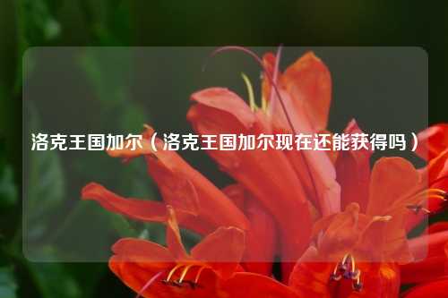 洛克王国加尔（洛克王国加尔现在还能获得吗）