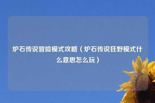 炉石传说冒险模式攻略（炉石传说狂野模式什么意思怎么玩）