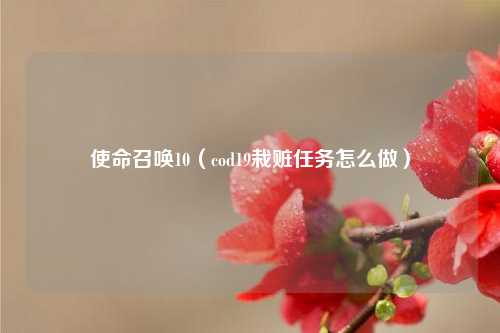 使命召唤10（cod19栽赃任务怎么做）