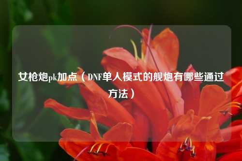 女枪炮pk加点（DNF单人模式的舰炮有哪些通过方法）