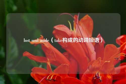 lost soul aside（take构成的动词短语）