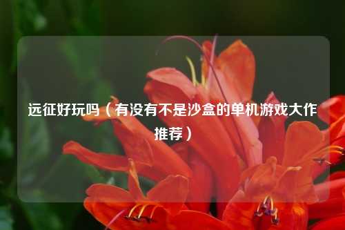远征好玩吗（有没有不是沙盒的单机游戏大作推荐）