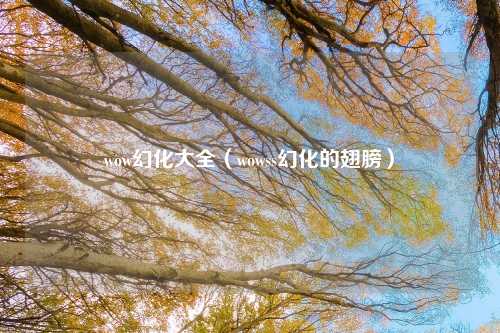wow幻化大全（wowss幻化的翅膀）