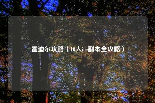 霍迪尔攻略（10人icc副本全攻略）