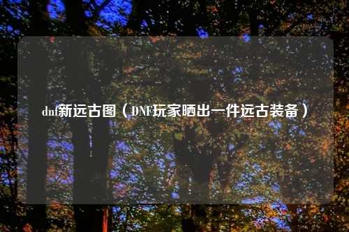 dnf新远古图（DNF玩家晒出一件远古装备）