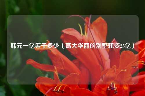 韩元一亿等于多少（高大华丽的别墅耗资25亿）