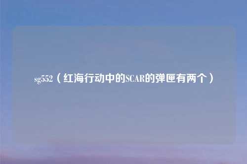 sg552（红海行动中的SCAR的弹匣有两个）