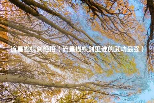 流星蝴蝶剑绝招（流星蝴蝶剑里谁的武功最强）