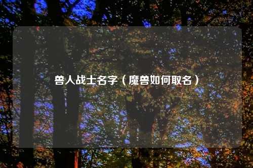 兽人战士名字（魔兽如何取名）