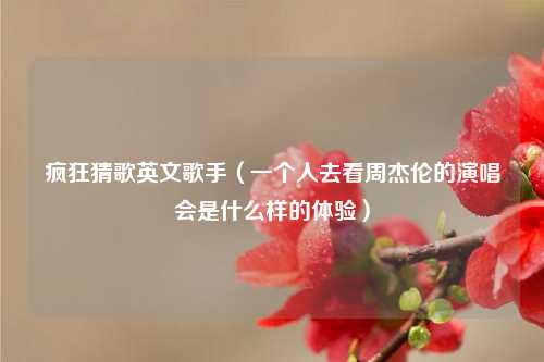 疯狂猜歌英文歌手（一个人去看周杰伦的演唱会是什么样的体验）