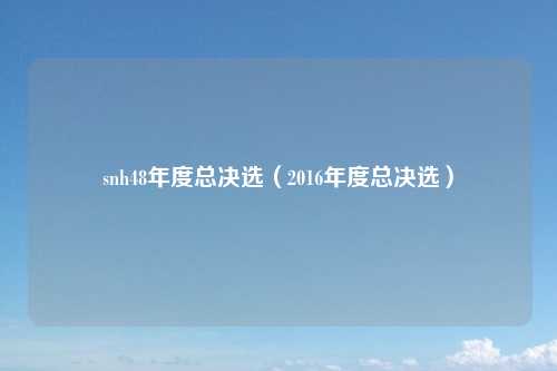snh48年度总决选（2016年度总决选）