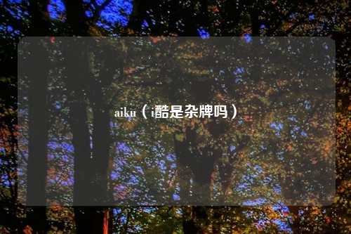 aiku（i酷是杂牌吗）