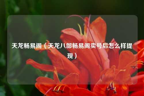 天龙畅易阁（天龙八部畅易阁卖号后怎么样提现）
