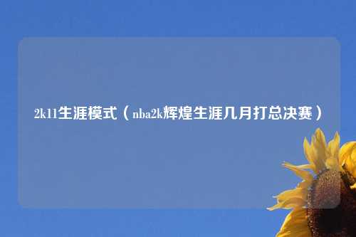 2k11生涯模式（nba2k辉煌生涯几月打总决赛）