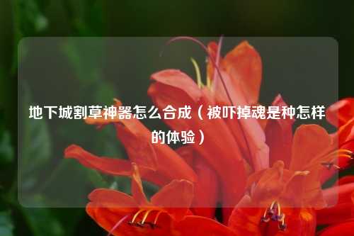 地下城割草神器怎么合成（被吓掉魂是种怎样的体验）