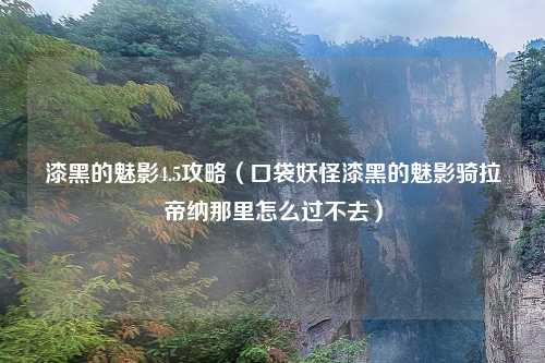 漆黑的魅影4.5攻略（口袋妖怪漆黑的魅影骑拉帝纳那里怎么过不去）