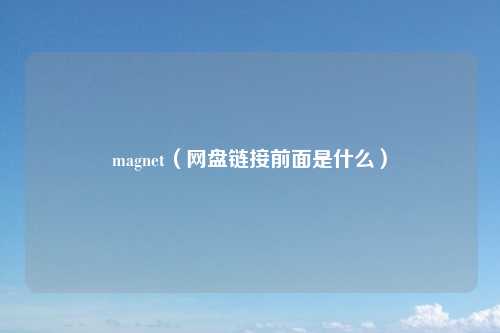 magnet（网盘链接前面是什么）