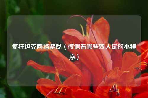 疯狂坦克网络游戏（微信有哪些双人玩的小程序）