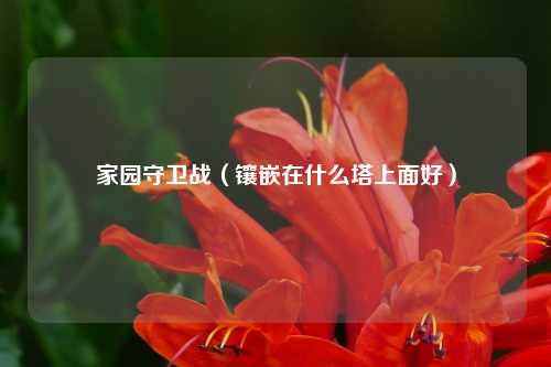 家园守卫战（镶嵌在什么塔上面好）
