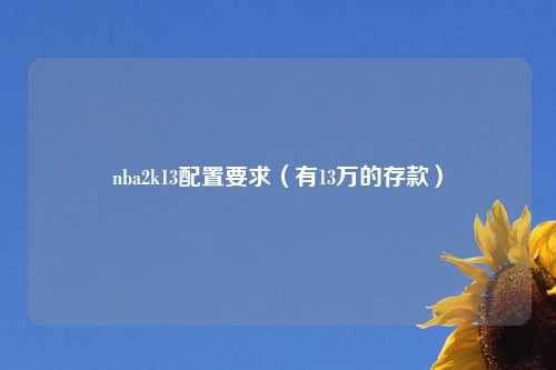 nba2k13配置要求（有13万的存款）