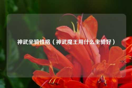 神武坐骑性格（神武魔王用什么坐骑好）