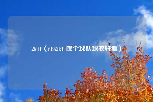 2k11（nba2k11哪个球队球衣好看）