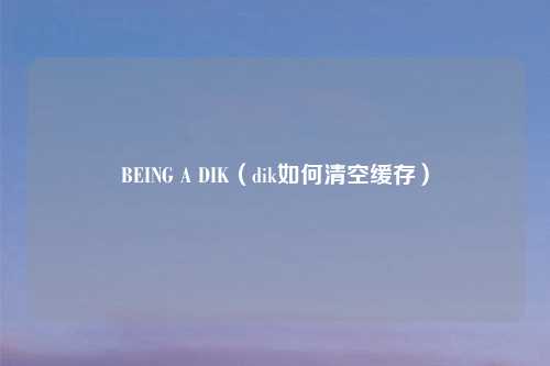 BEING A DIK（dik如何清空缓存）
