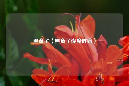 黑童子（黑童子逢魔阵容）