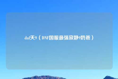 dnf天9（DNF国服最强寂静9奶爸）