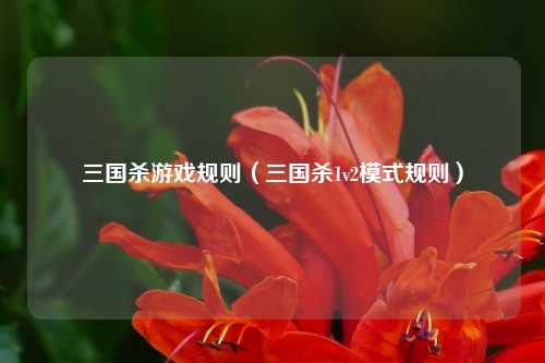 三国杀游戏规则（三国杀1v2模式规则）