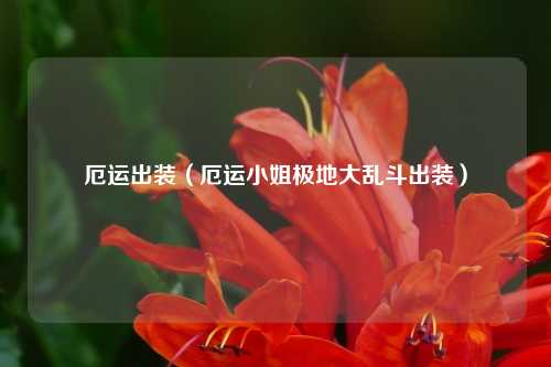 厄运出装（厄运小姐极地大乱斗出装）
