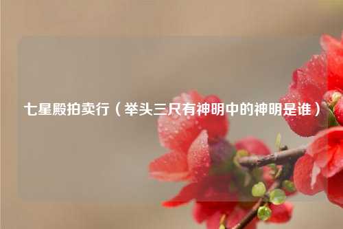 七星殿拍卖行（举头三尺有神明中的神明是谁）