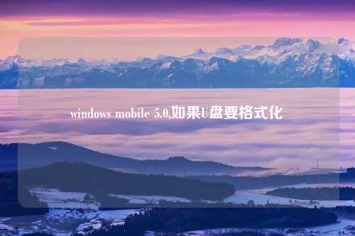 windows mobile 5.0,如果U盘要格式化